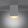 Luminaires Paul Neuhaus Plafonniers|Plafonnier Paul-Neuhaus ETON Gris, Noir, 1 lumière