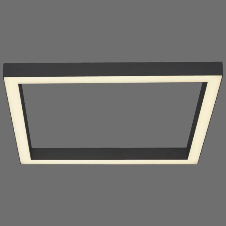 Luminaires Paul Neuhaus Éclairage Led|Plafonnier Paul-Neuhaus PURE-LINES LED Anthracite, 1 lumière, Télécommandes