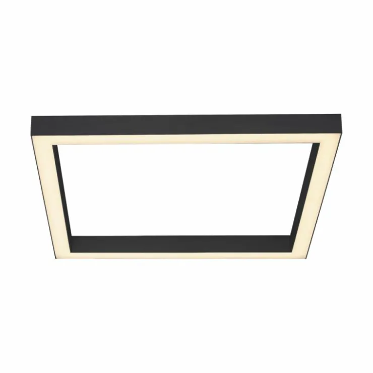 Luminaires Paul Neuhaus Éclairage Led|Plafonnier Paul-Neuhaus PURE-LINES LED Anthracite, 1 lumière, Télécommandes