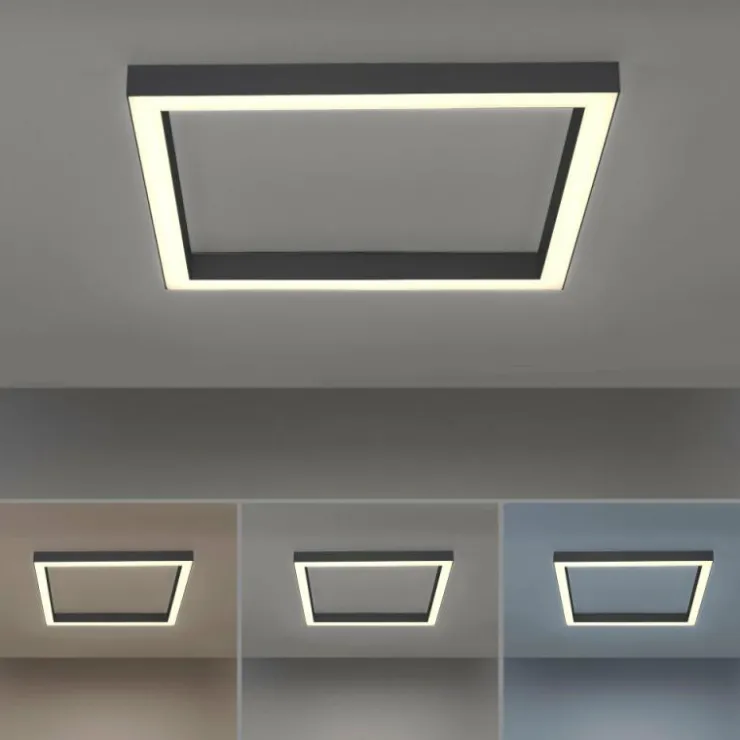 Luminaires Paul Neuhaus Éclairage Led|Plafonnier Paul-Neuhaus PURE-LINES LED Anthracite, 1 lumière, Télécommandes