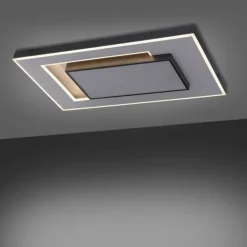 Plafonnier Paul-Neuhaus Q-ALTA LED Noir, 1 lumière, Télécommandes