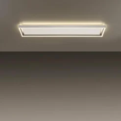 Plafonnier Paul-Neuhaus Q-KAAN LED Acier brossé, 2 lumières, Télécommandes