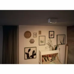 Luminaires Philips Spots Et Projecteurs|Plafonnier Philips Box LED Blanc, 2 lumières