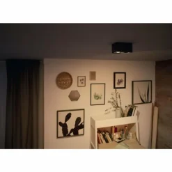 Luminaires Philips Spots Et Projecteurs|Plafonnier Philips Box LED Noir, 2 lumières