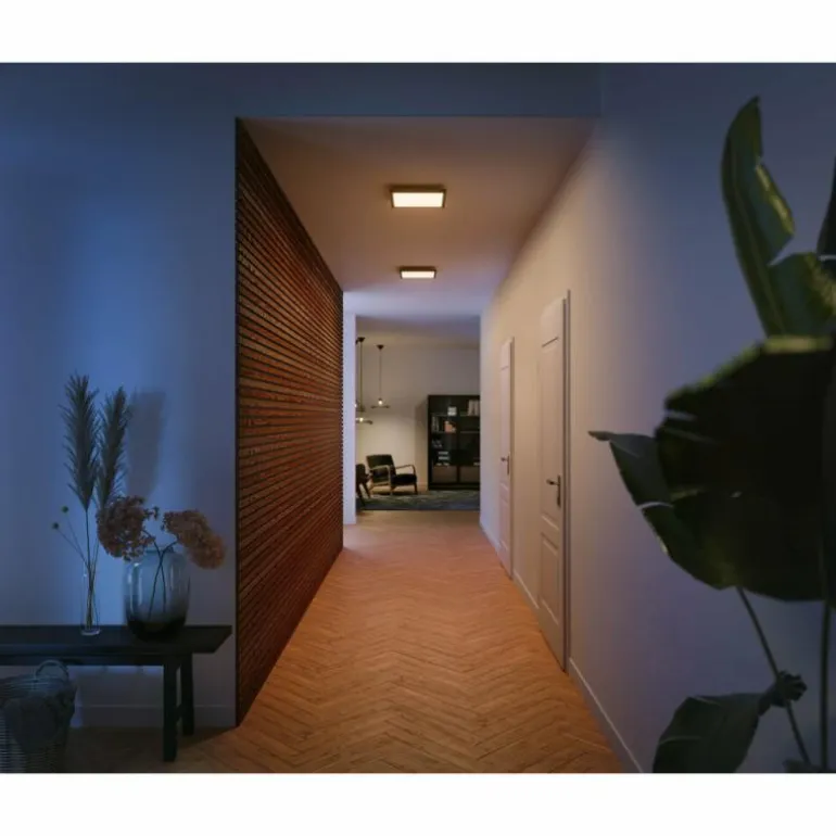 Plafonnier Philips Hue Aurelle LED Noir, Blanc, 1 lumière