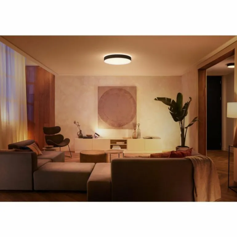 Plafonnier Philips Hue Enrave LED Noir, 1 lumière, Télécommandes