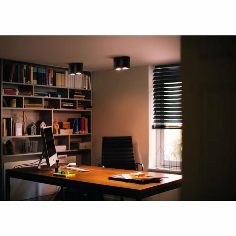 Plafonnier Philips Hue Pillar LED Noir, 2 lumières, Télécommandes