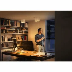 Plafonnier Philips Hue Pillar LED Blanc, 2 lumières, Télécommandes
