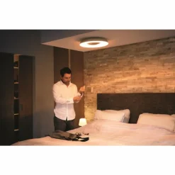 Plafonnier Philips Hue Still LED Noir, 1 lumière, Télécommandes