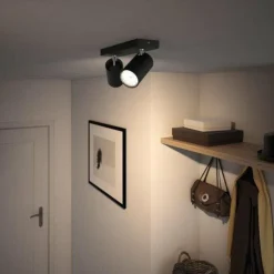 Luminaires Philips Spots Et Projecteurs|Plafonnier Philips Kosipo Noir, 2 lumières