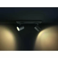 Luminaires Philips Spots Et Projecteurs|Plafonnier Philips Kosipo Noir, 2 lumières