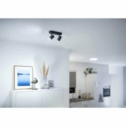 Plafonnier Philips WiZ IMAGEO LED Noir, 2 lumières, Changeur de couleurs