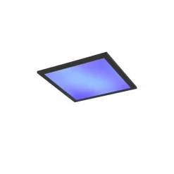 Luminaires Reality Éclairage Led|Plafonnier Reality BETA LED Noir, 1 lumière, Télécommandes, Changeur de couleurs