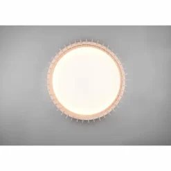 Luminaires Reality Éclairage Led|Plafonnier Reality Monte LED Blanc, 1 lumière, Télécommandes