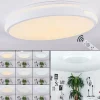 hofstein Éclairage Led|Plafonnier Seewen LED Blanc, 1 lumière, Télécommandes