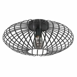 Luminaires Steinhauer Plafonniers|Plafonnier Steinhauer Dunbar Noir, 1 lumière