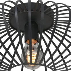 Luminaires Steinhauer Plafonniers|Plafonnier Steinhauer Dunbar Noir, 1 lumière