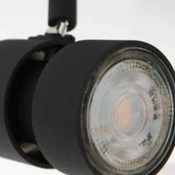 Luminaires Steinhauer Éclairage Led|Plafonnier Steinhauer Natasja LED Noir, 2 lumières