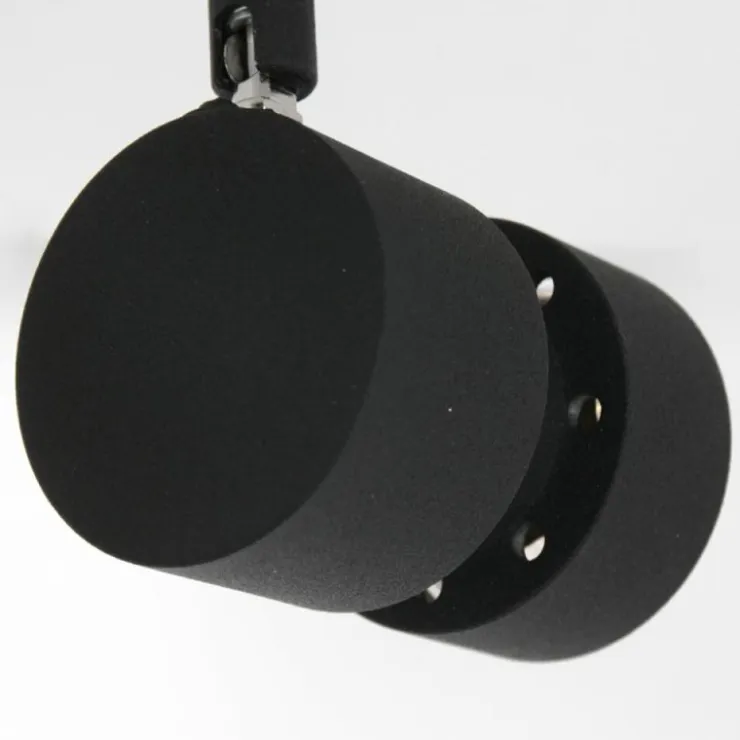 Luminaires Steinhauer Éclairage Led|Plafonnier Steinhauer Natasja LED Noir, 2 lumières