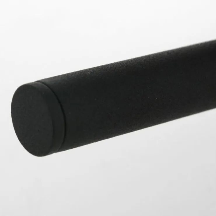 Luminaires Steinhauer Éclairage Led|Plafonnier Steinhauer Natasja LED Noir, 2 lumières