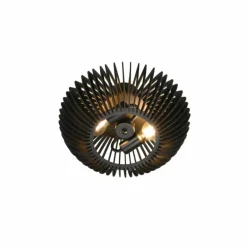 Plafonnier Trio Colino Noir, 2 lumières