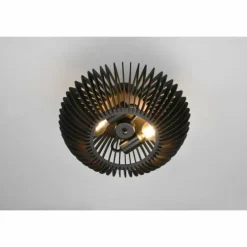 Plafonnier Trio Colino Noir, 2 lumières