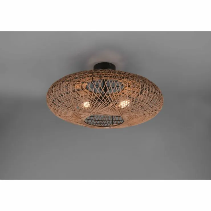Luminaires Trio Plafonniers|Plafonnier Trio Hedda Noir, 2 lumières