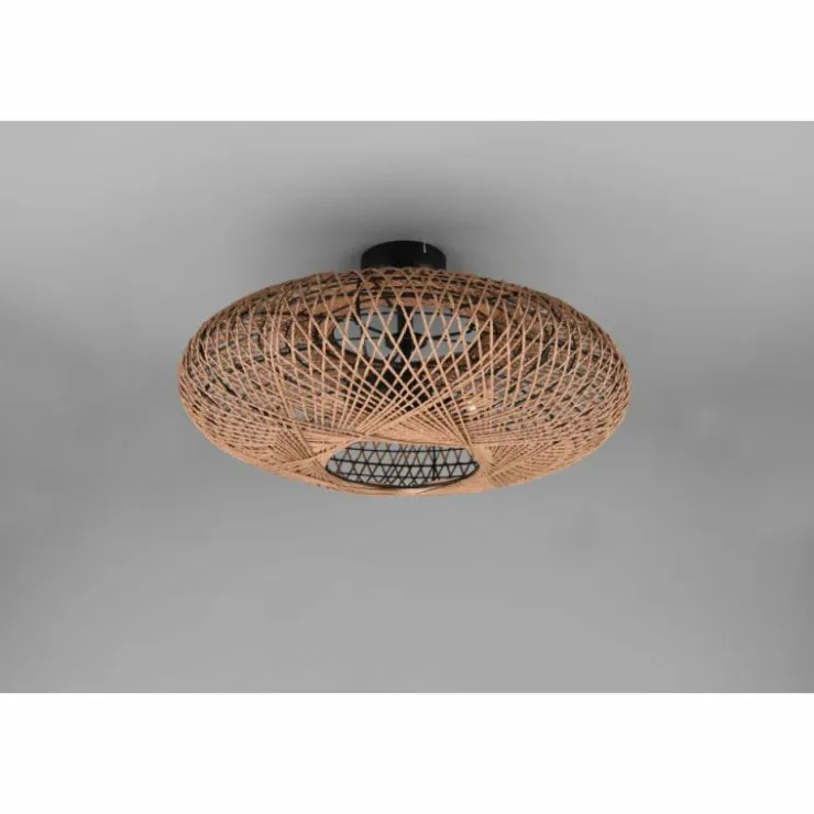 Luminaires Trio Plafonniers|Plafonnier Trio Hedda Noir, 2 lumières