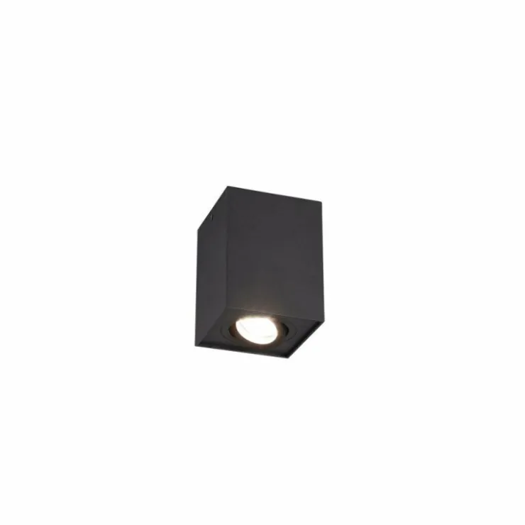 Luminaires Trio Plafonniers|Plafonnier Trio Leuchten BISCUIT Noir, 1 lumière