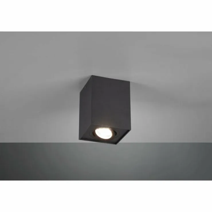 Luminaires Trio Plafonniers|Plafonnier Trio Leuchten BISCUIT Noir, 1 lumière
