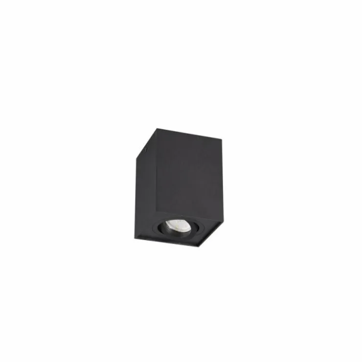 Luminaires Trio Plafonniers|Plafonnier Trio Leuchten BISCUIT Noir, 1 lumière