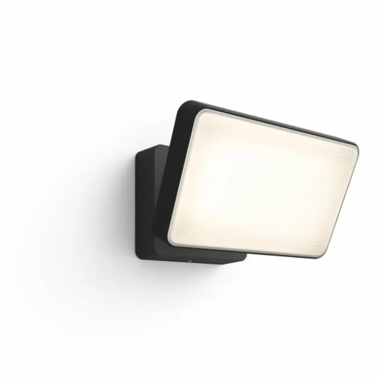 Projecteur Philips Hue White Welcome LED Noir, 1 lumière, Changeur de couleurs