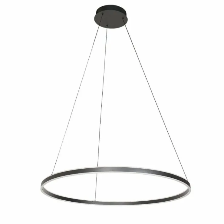 Luminaires Steinhauer Éclairage Led|Ringlux Suspension LED Noir, 2 lumières