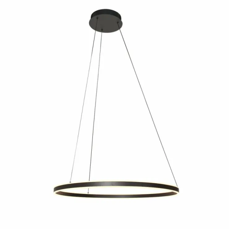 Luminaires Steinhauer Éclairage Led|Ringlux Suspension LED Noir, 2 lumières