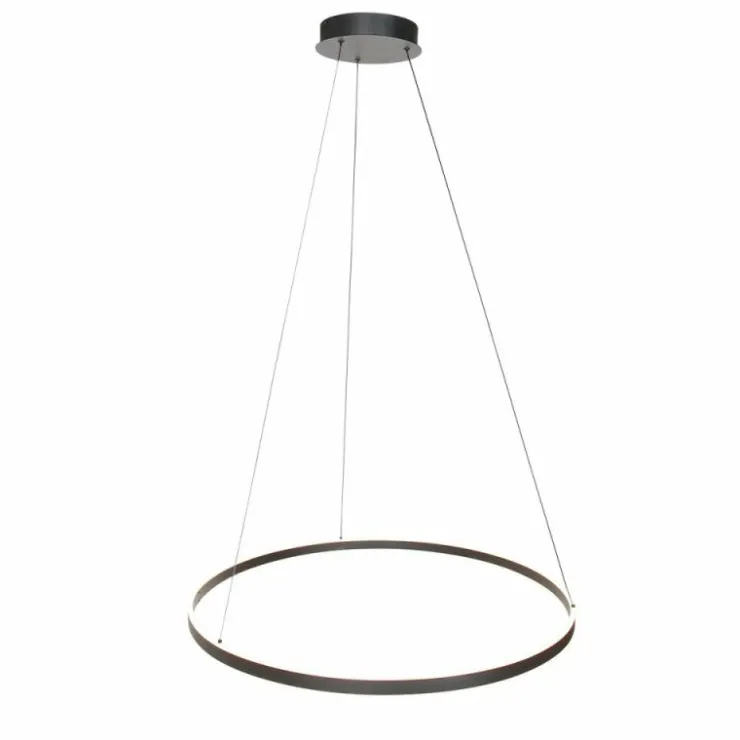 Luminaires Steinhauer Éclairage Led|Ringlux Suspension LED Noir, 2 lumières