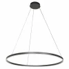 Luminaires Steinhauer Éclairage Led|Ringlux Suspension LED Noir, 2 lumières