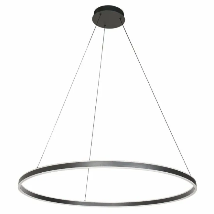 Luminaires Steinhauer Éclairage Led|Ringlux Suspension LED Noir, 2 lumières