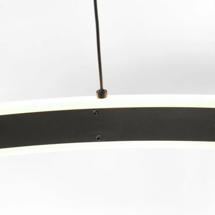 Luminaires Steinhauer Éclairage Led|Ringlux Suspension LED Noir, 2 lumières