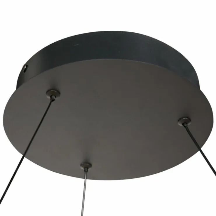 Luminaires Steinhauer Éclairage Led|Ringlux Suspension LED Noir, 2 lumières