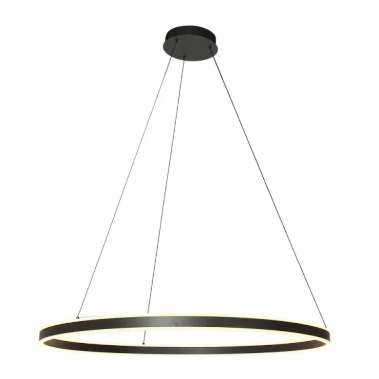Luminaires Steinhauer Éclairage Led|Ringlux Suspension LED Noir, 2 lumières
