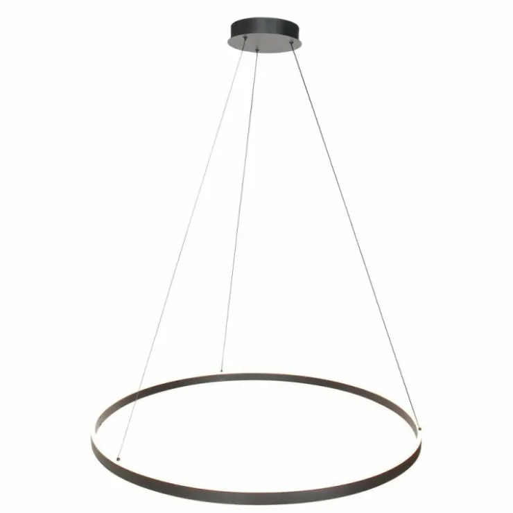 Luminaires Steinhauer Éclairage Led|Ringlux Suspension LED Noir, 2 lumières
