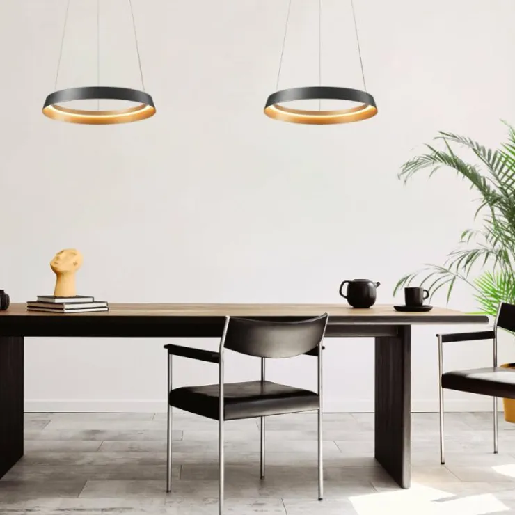 Luminaires Steinhauer Suspensions|Ringlux Suspension LED Noir, 1 lumière