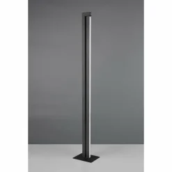 Luminaires Trio Éclairage Led|Seeker Lampadaire LED Noir, 1 lumière