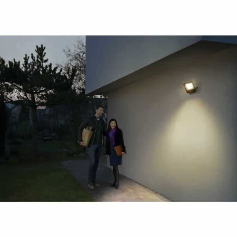 Spot de jardin LEDVANCE SMART+ Gris, 1 lumière