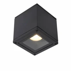 Luminaires Lucide Spots Et Projecteurs|Spot de plafond Lucide AVEN Noir, 1 lumière