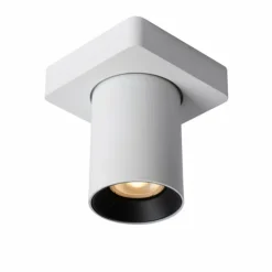 Luminaires Lucide Spots Et Projecteurs|Spot de plafond Lucide NIGEL LED Blanc, 1 lumière
