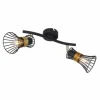 Luminaires Globo Lighting Spots Et Projecteurs|Spot Globo ROXY Noir, 2 lumières