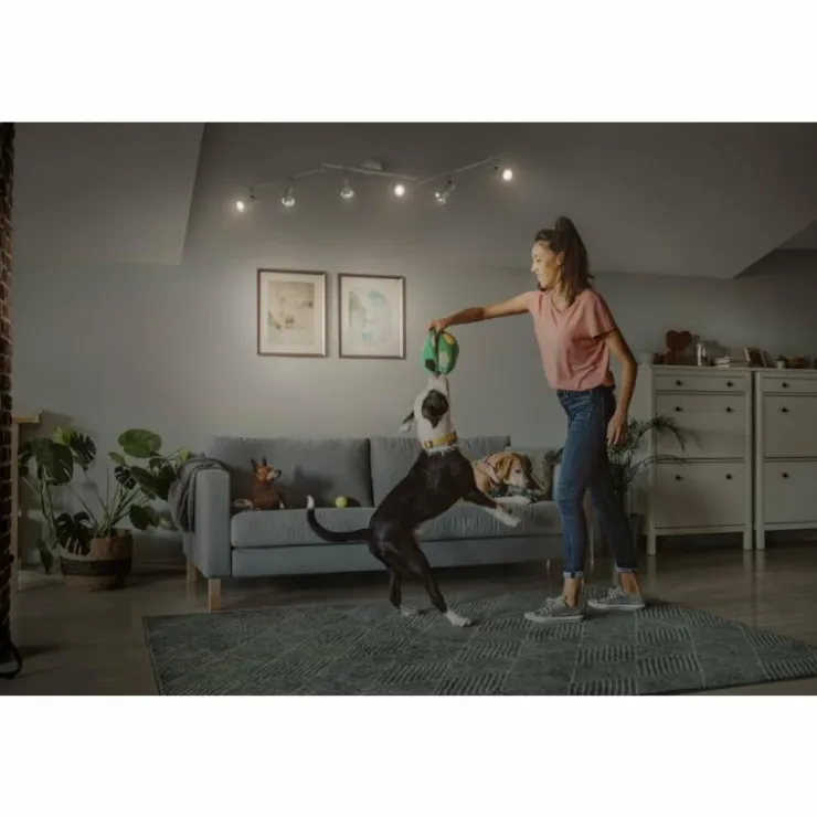 Luminaires Ledvance Éclairage Led|Spot Plafonnier LED Blanc, 6 lumières