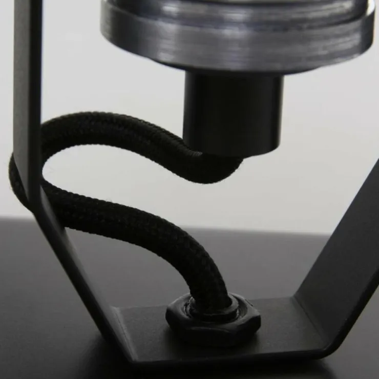 Luminaires Steinhauer Éclairage Led|Spot Steinhauer BROOKLY LED Noir, 2 lumières