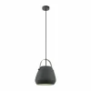 Luminaires Eglo Suspensions|Suspension EGLO BEDNALL Gris, 1 lumière